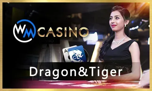 Variety of casino slot games